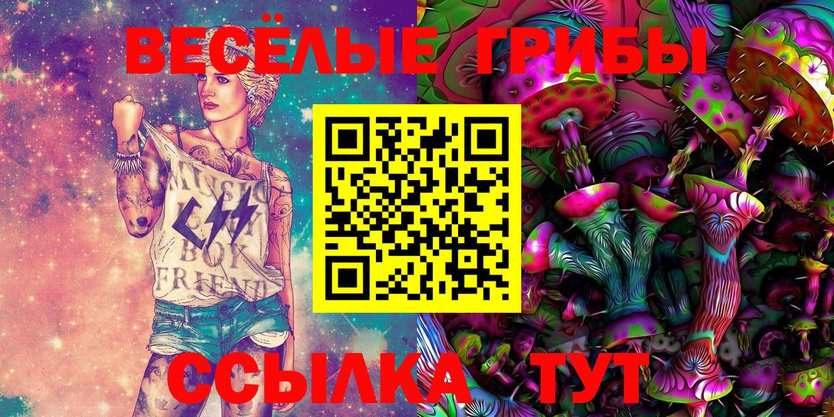 Псилоцибиновые грибы GOLDEN TEACHER Нефтекамск
